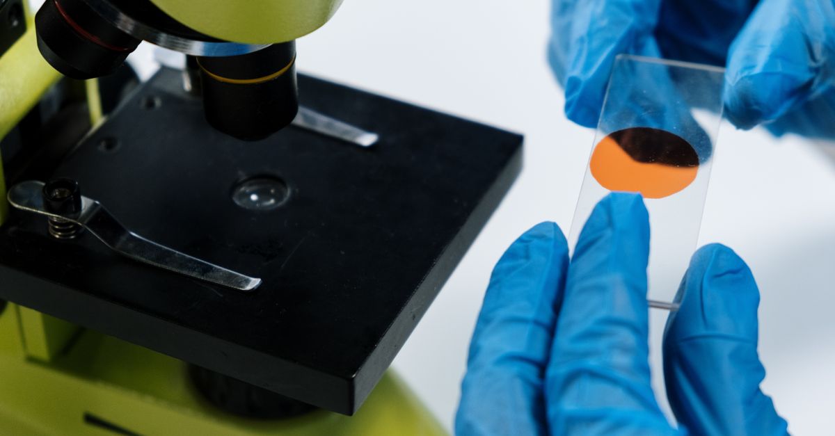 Genea IVF: value points