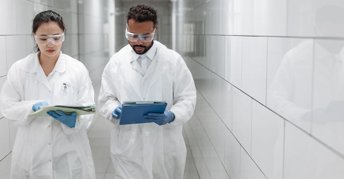 Genea IVF: projects