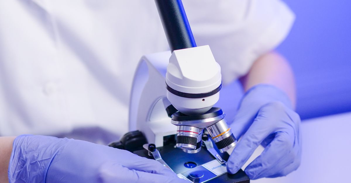 Genea IVF: projects