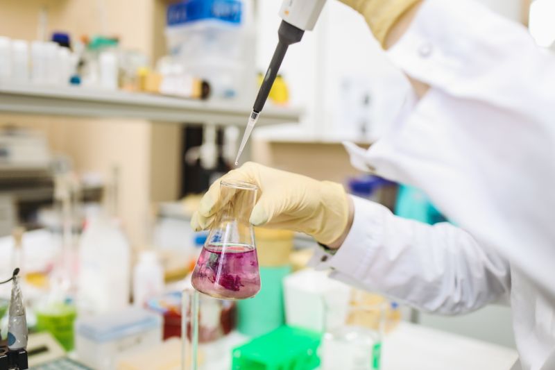 Placas de cultivo celular dispuestas sobre una superficie de laboratorio