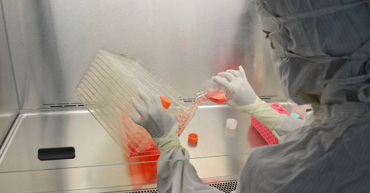 Genea IVF: projects